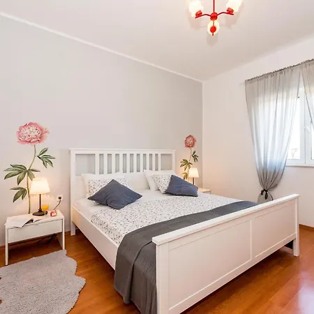 度假居 Pet Friendly In With Wifi Pakovo Selo